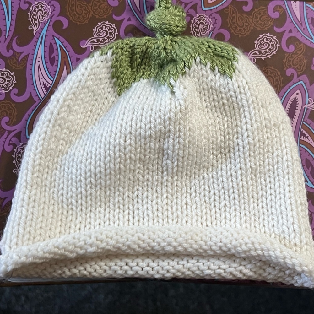 Hand knit toddlers veggies beanie